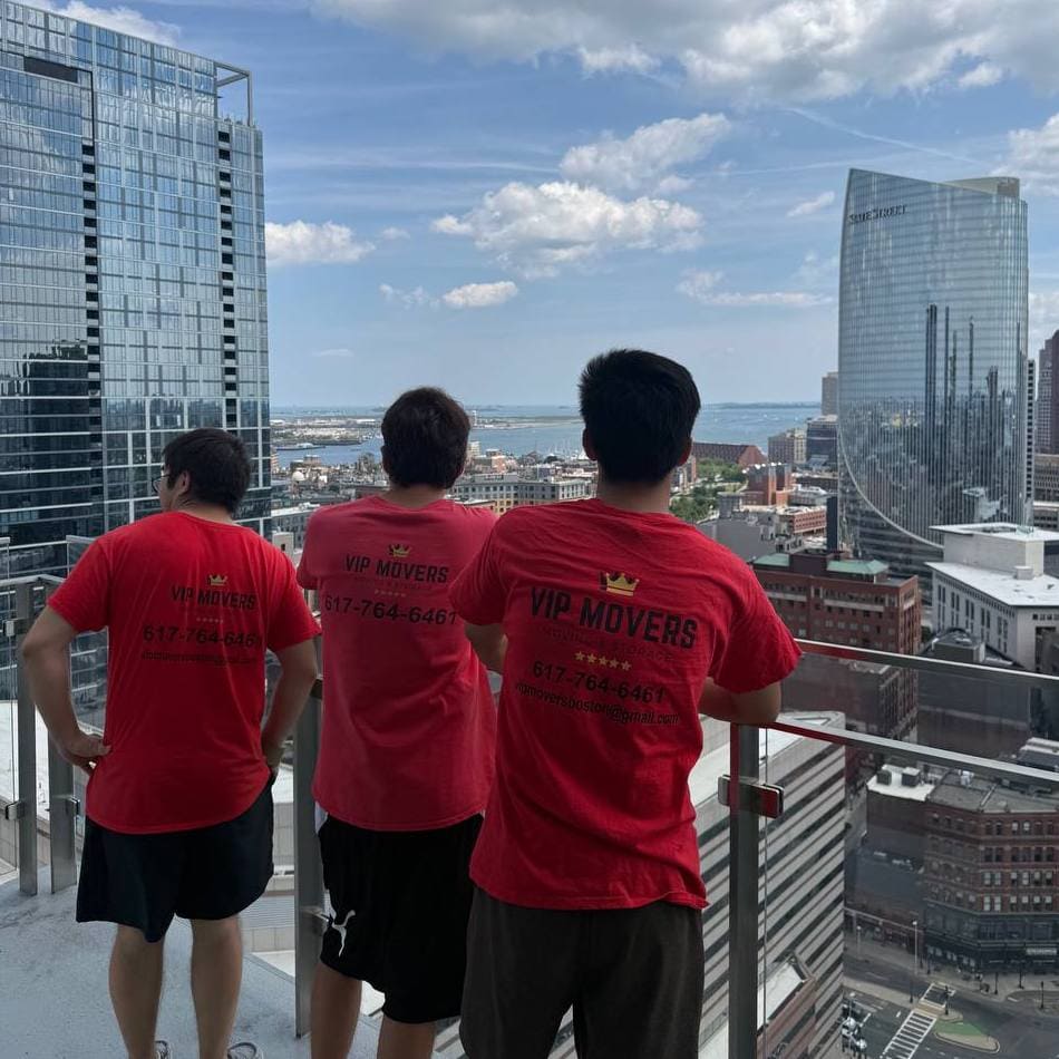 Boston view